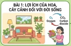 Tuần 1 - Tiết 1: Bài 1: Lợi ích của hoa, cây cảnh đối với đời sống - tiết 1