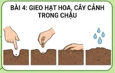 Tuần 10 - Tiết 10: Bài 4: Gieo hạt hoa, cây cảnh trong chậu - tiết 1