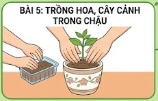 Tuần 13 - Tiết 13: Bài 5: Trồng hoa, cây cảnh trong chậu- tiết 1